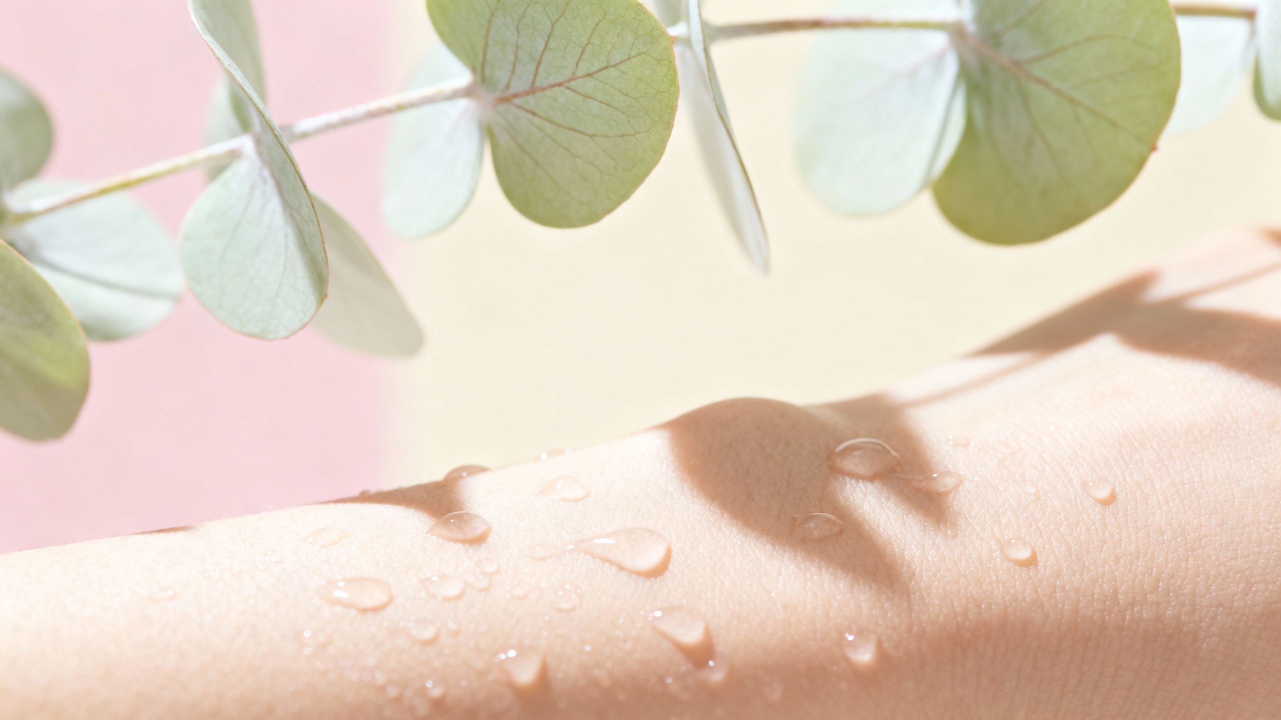 Featured image for Mastering the Itch: Antihistamines for Eczema Relief Unveiled